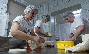FOTO: AA / Proizvodnja livanjskog sira
